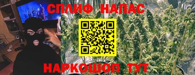 шишки Новокубанск
